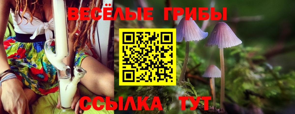 Галлюциногенные грибы мухоморы Тобольск